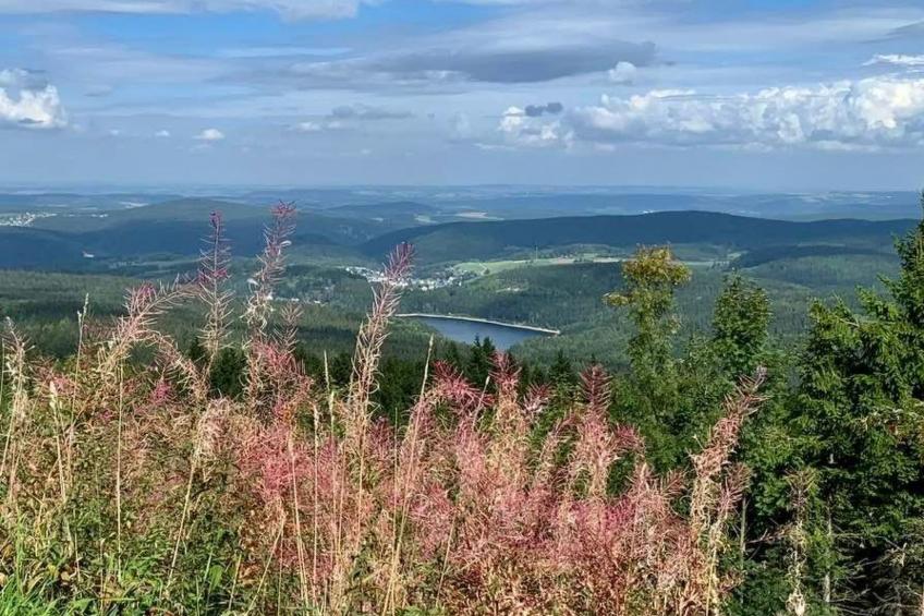 Fewo-Dorfblick - foto 27