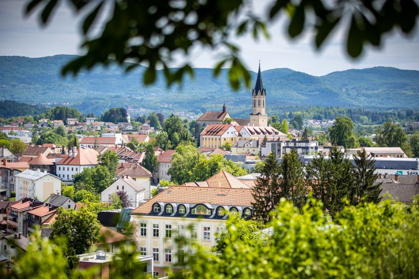 Vineyard Cottage Luštek - foto 18