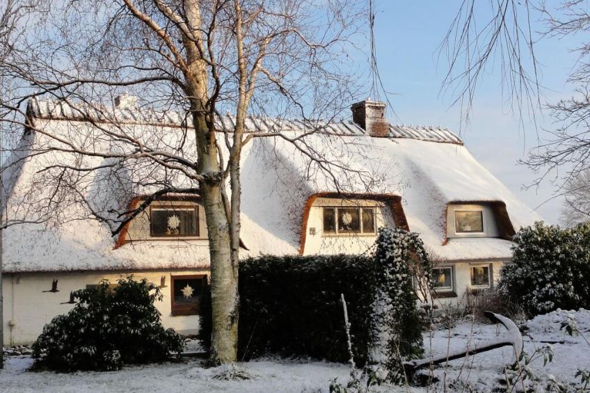 118955 - foto 14