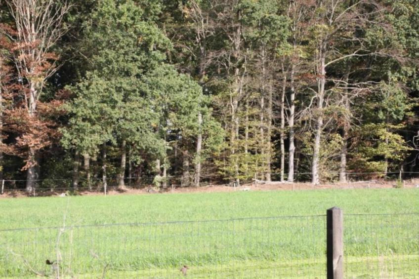 Chalet Egel - foto 13