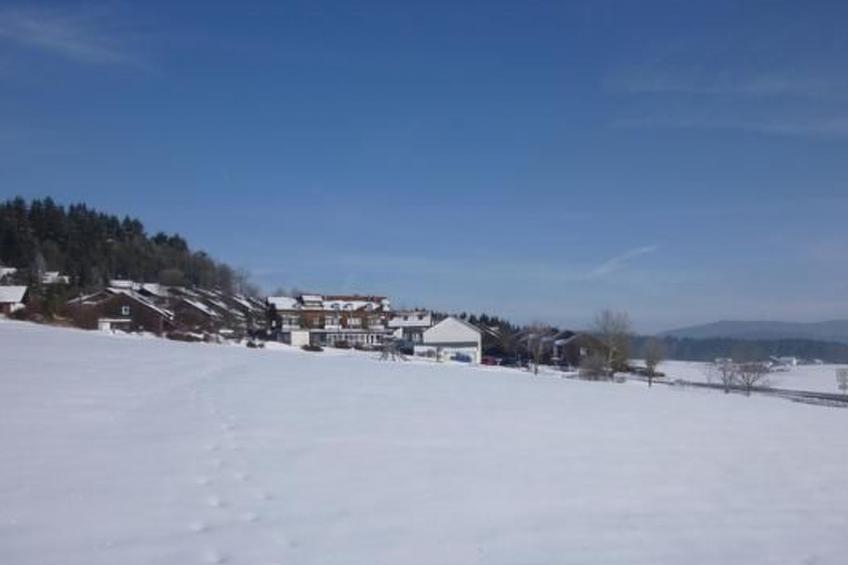 Adele - Allergiker geeignet - foto 28