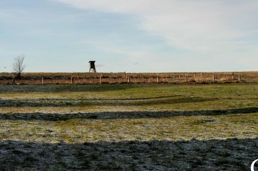 Am Apothekerberg - foto 29