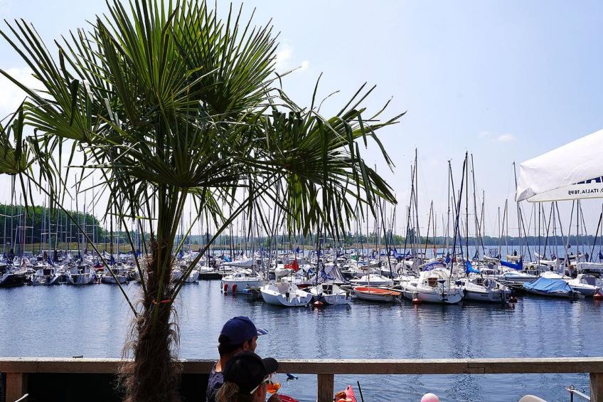 Haus mit Kunst - foto 14