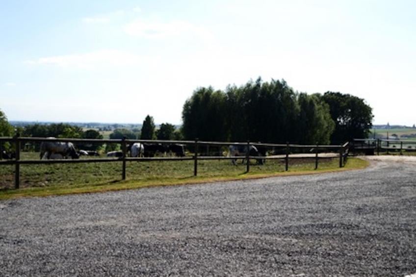 Rozenberghoeve - foto 33