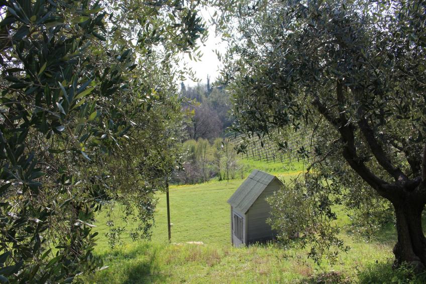 Matello - foto 26