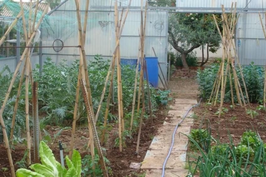 Feriendorf "Hort de la Cinteta". - foto 12