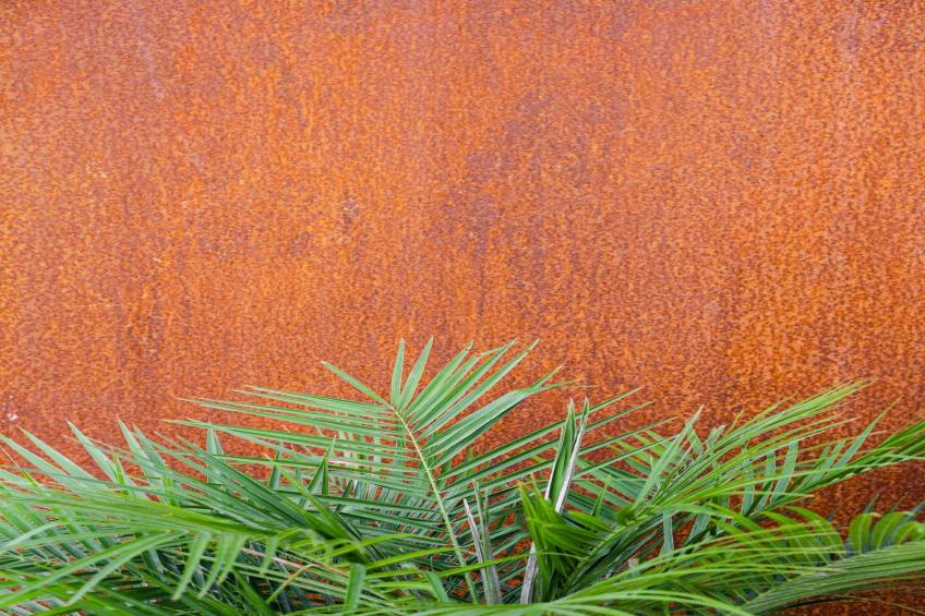 Villa Canyelles - foto 18