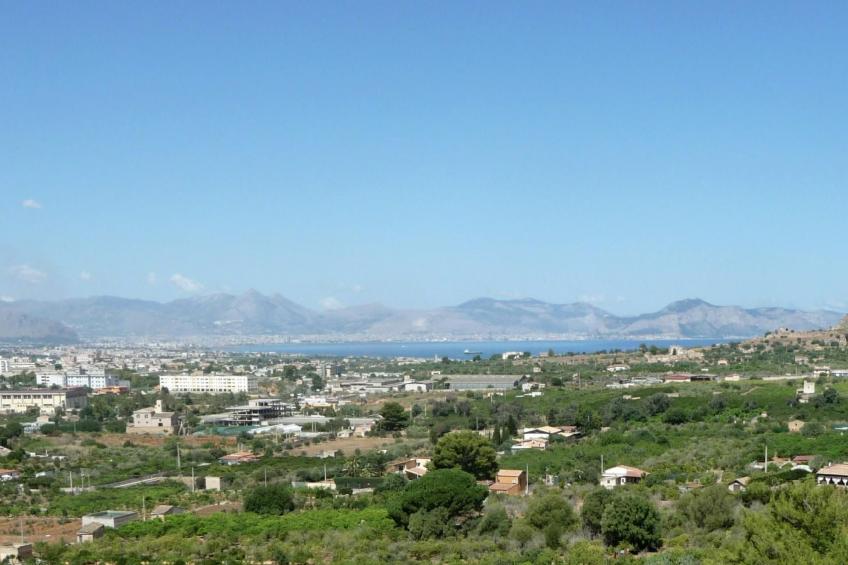 'Suite Ficodindia - foto 40