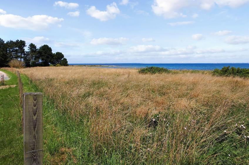 "Meeno" - 200m from the sea in Sealand - foto 5