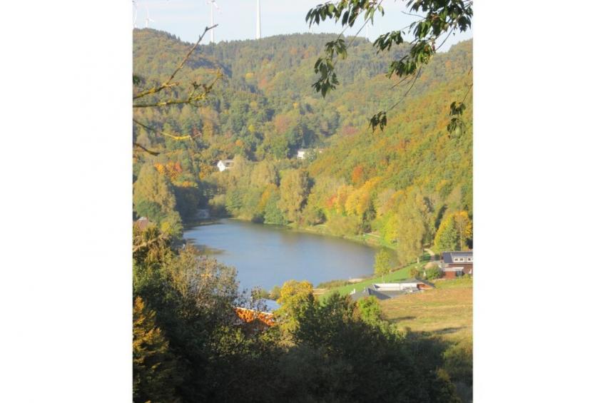 116450 - foto 18