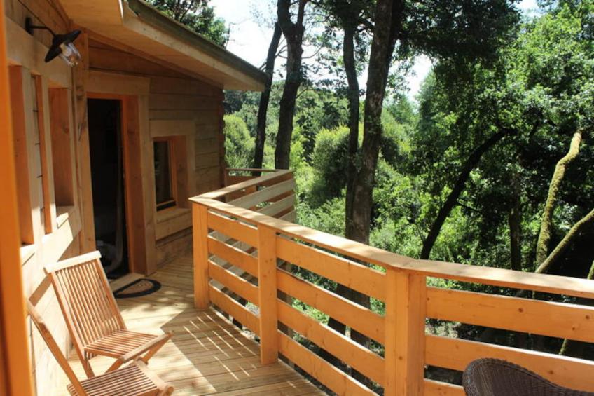 Parc de la Belle - foto 21