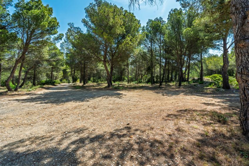 Mas de Caussagues - foto 21