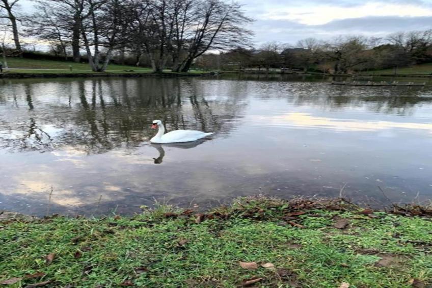 Résidence Le Hameau du Lac 1 - foto 34