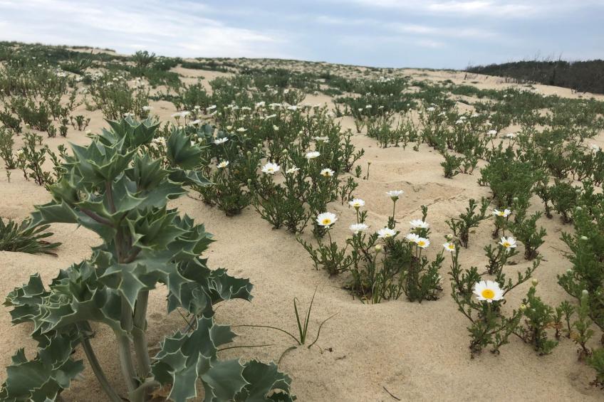 Hübsches kleines Haus in ruhiger Lage in einer baumbestandenen Residenz mit beh - foto 28