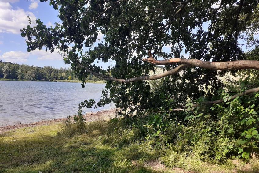 Luxus Appartement / 7 Personen - foto 25