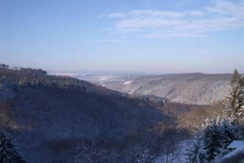 Am Waldrand - foto 36