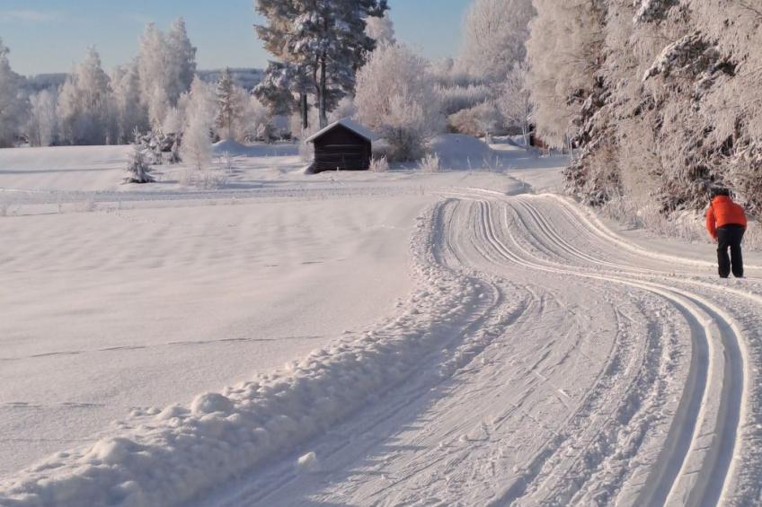 Hjortgården Stuga - foto 29