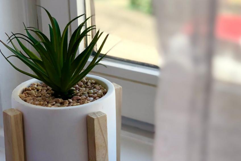 Studio in zentraler Lage - nur wenige Minuten zum See und Stadt - foto 4