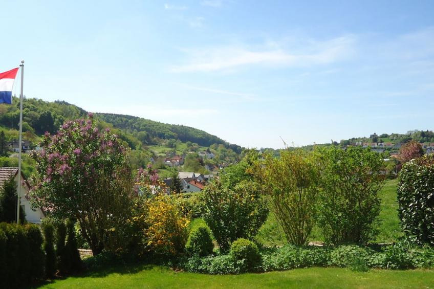 247947 - foto 24