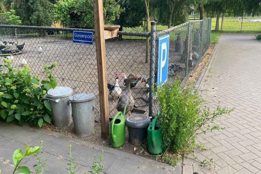 De Herberg - foto 37