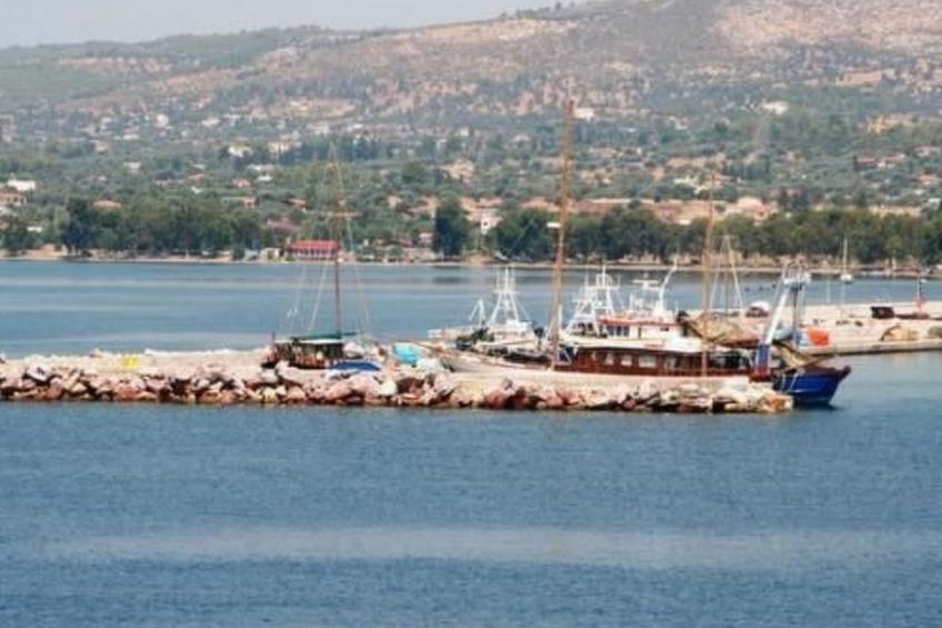 Studio mit Garten - foto 32