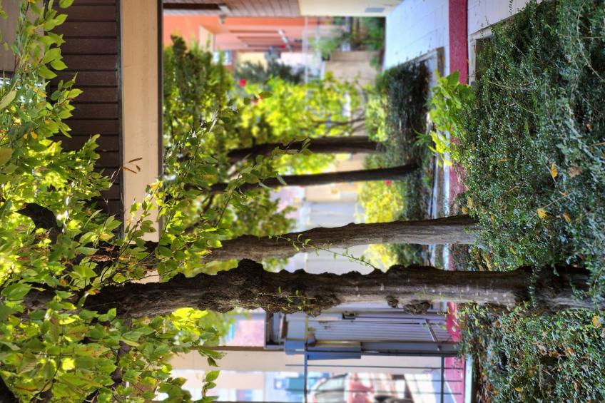 Auf dem Messegelände 14, in der Nähe des Zentrums und gegenüber dem Messegeländ - foto 36