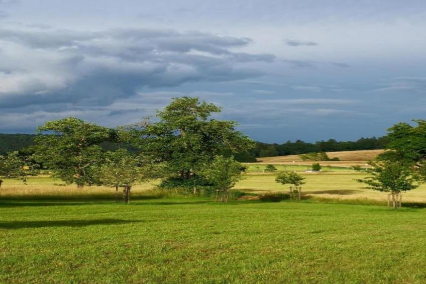 Feriendorf Reinskopf - foto 19