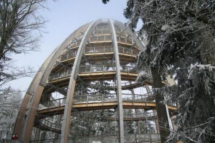 Chalet  " Jagdhaus" - foto 16