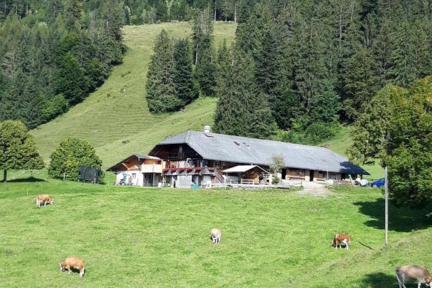Chalet Wenger Appartement/Fewo, Dusche und Bad, WC, Balkon - foto 11