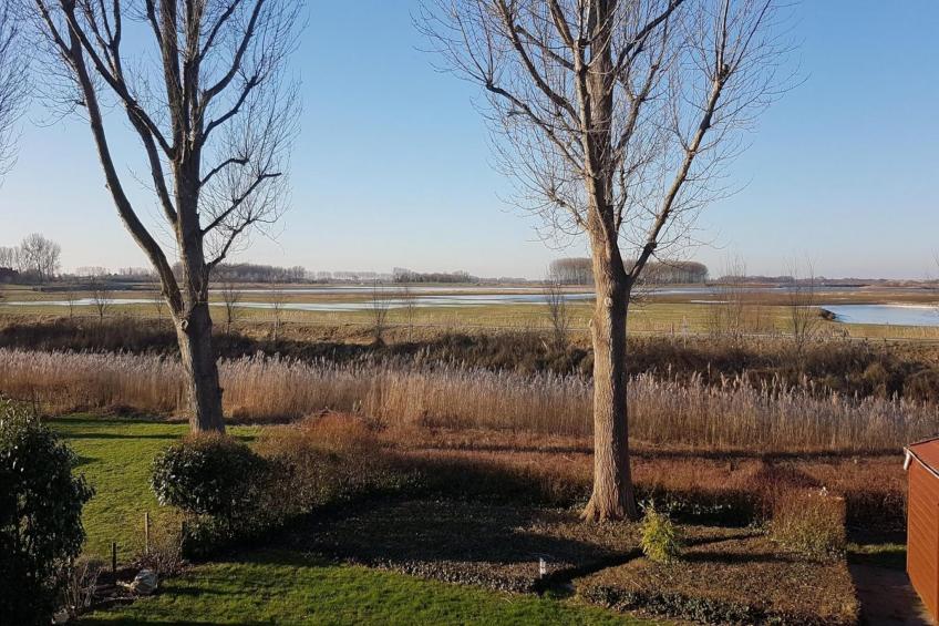Schoneveld 170 Zeemeeuw Breskens - foto 40