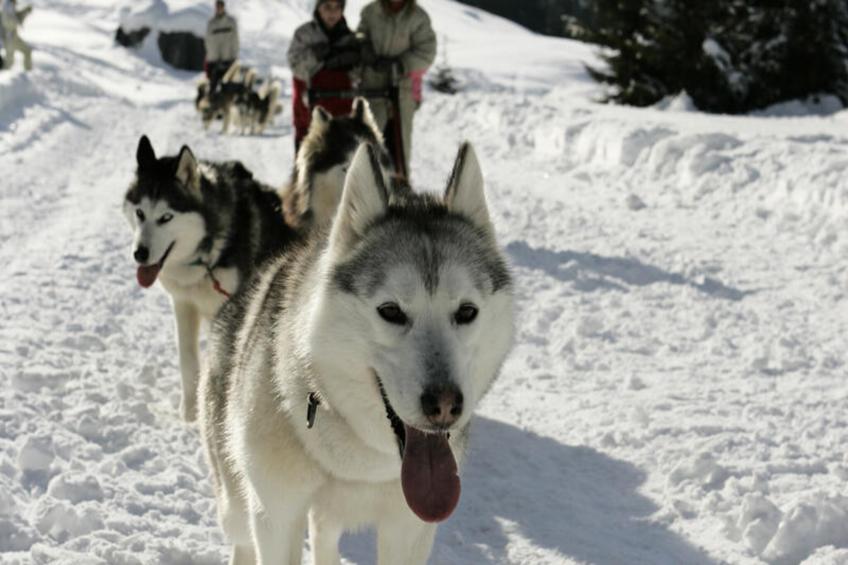 Appartements à Les Carroz-d'Arâches - foto 14