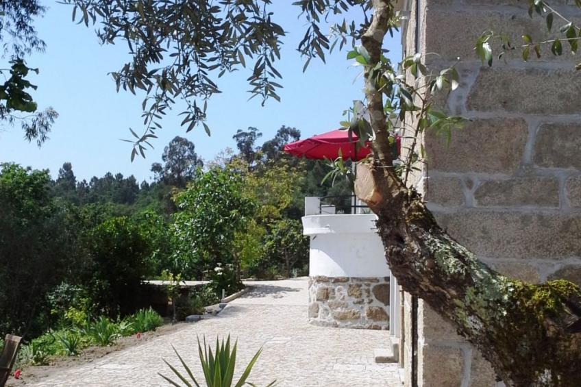 Großes renoviertes Landhaus in Tondela - foto 2