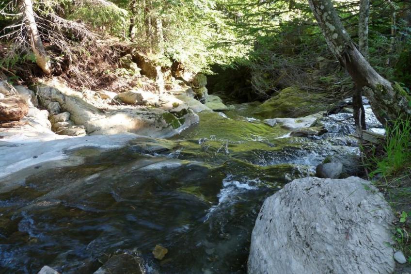 Bauernhof obere Fraumatt - foto 12