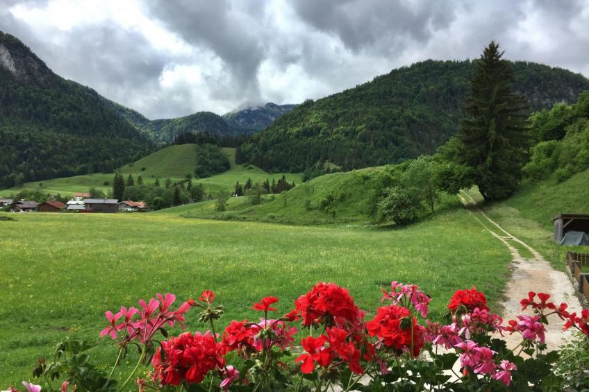 Haus Hinterseer - foto 13