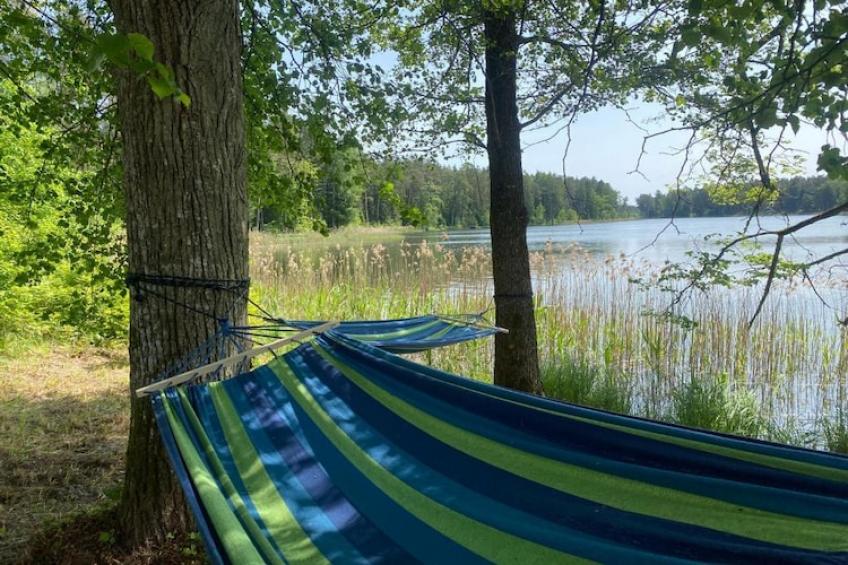 Leśniczówka Szeroki Bór Pisz - foto 22