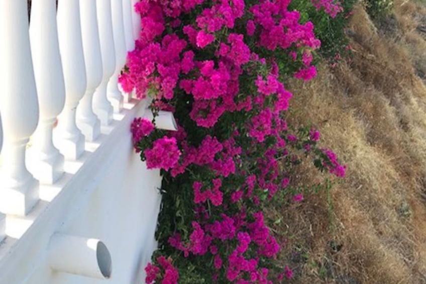 Casa Palmeras in Sayalonga mit Gepflegtem Garten - foto 22