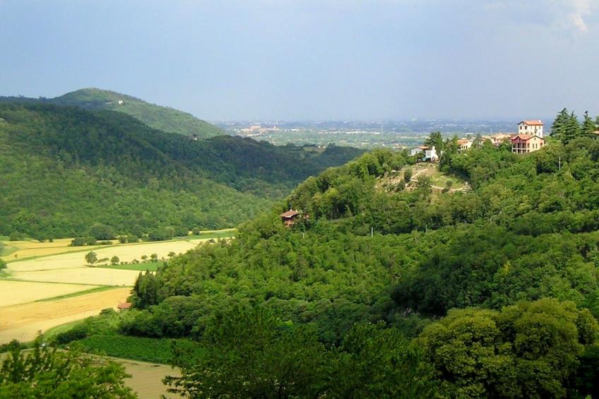 Matello - foto 31