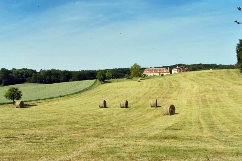 Domäne "Domaine de Ravel" - foto 33