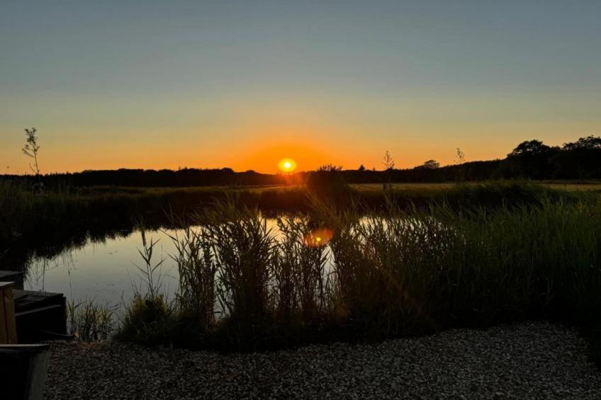 4-persoons bungalow Sondel 16 - foto 17