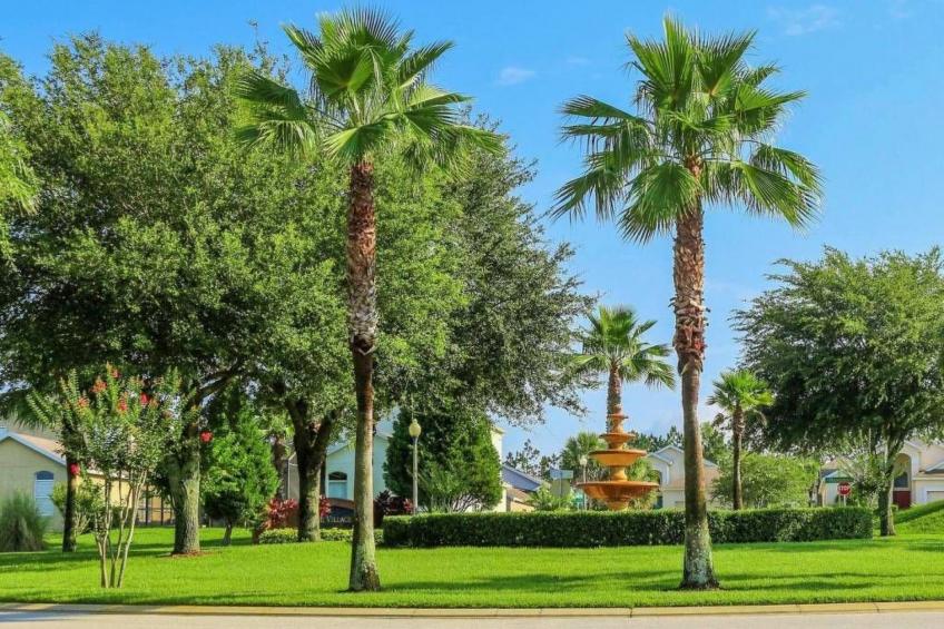 Sonniger Privatpool mit freistehendem Whirlpool und Filmraum - foto 34