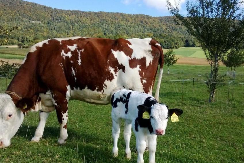 Wohnung Gîte rural de Courcelon - foto 18