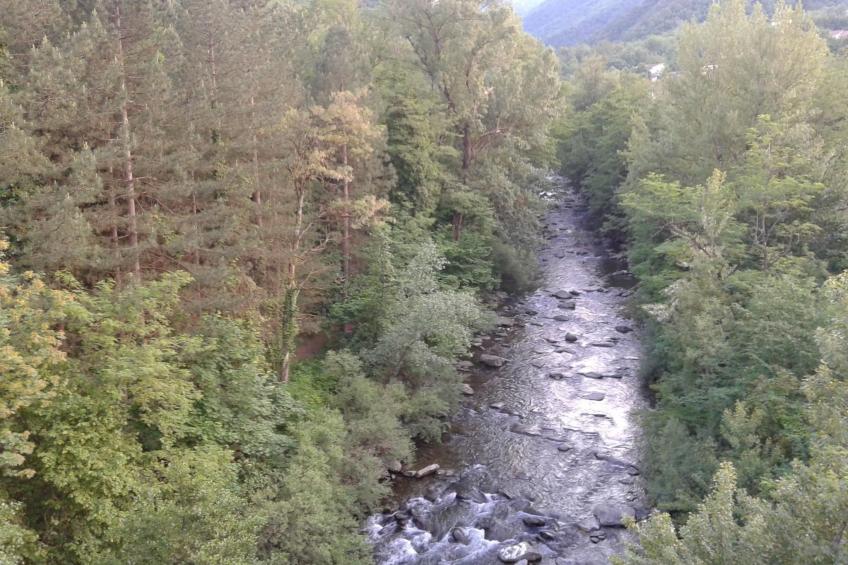 mit Wasserblick - foto 22