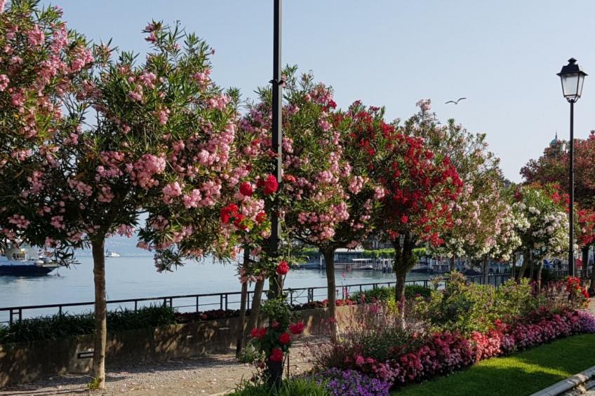CasaKatty Zwei-Zimmer-Wohnung mit Balkon mit Seeblick - foto 29