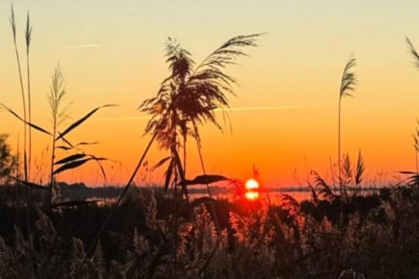 Résidence La Perle Rose Villa Standing 5 étoiles Avec Piscine Jacuzzi Et Superbe Vue - foto 32