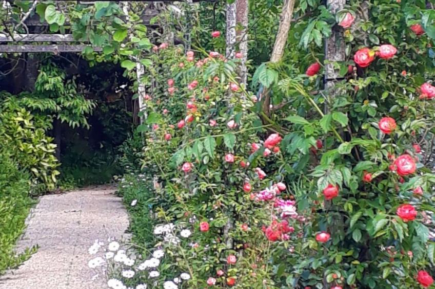 Quinta D'Avó Amélia, wunderschönes Landhaus zwischen den Bergen und dem Meer - foto 27