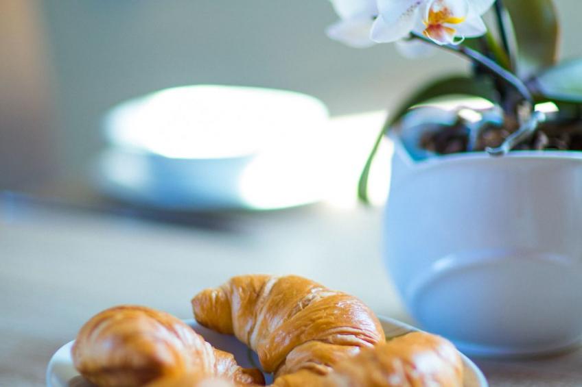 Fewo Dirks 2 - foto 11