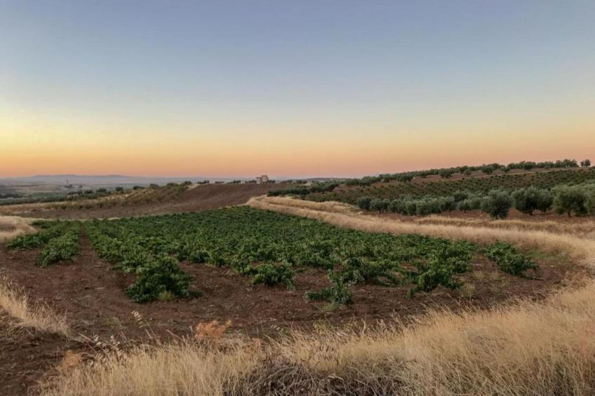 Villapark Ehzerburg 1 - foto 17