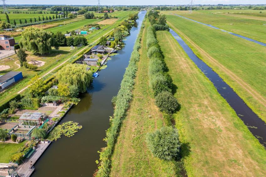 De Waterlelie - foto 37