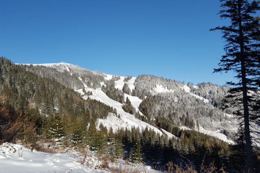 "HERZBLUATHÜTTN"  Ankommen und Wohlfühlen - foto 19