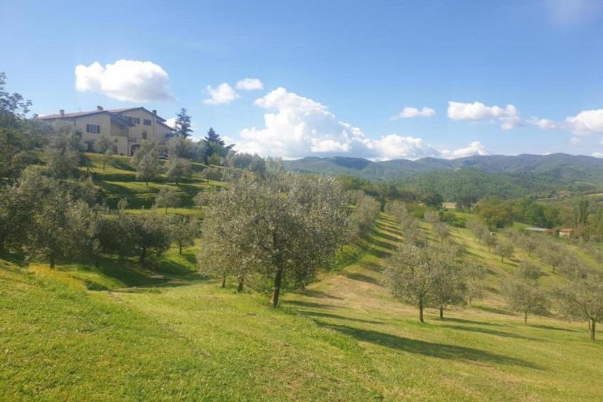 Casalini 2 - foto 37